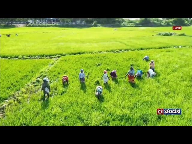 DD CHANDANA NEWS 29.11.2024 7:30 AM