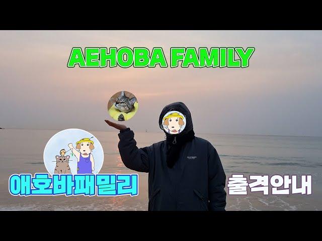 안녕하세요 "채널 갈아엎습니다" 애호바패밀리 AEHOBA FAMILY 출격 안내 | 동거커플 브이로그, 고양이 집사 유튜버 [VLOG]