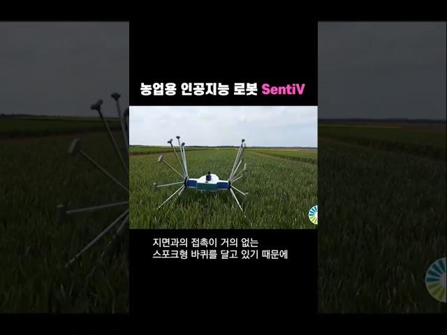 알아서 농작물을 관리해주는 AI로봇 SentiV #meropy #sentiv #농업로봇 #ai로봇 #농작물관리