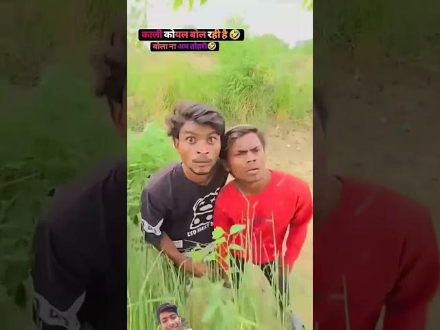 Kali koyl bol  Ankit Bhai ke funny comedy  Video #short like  subscribe 