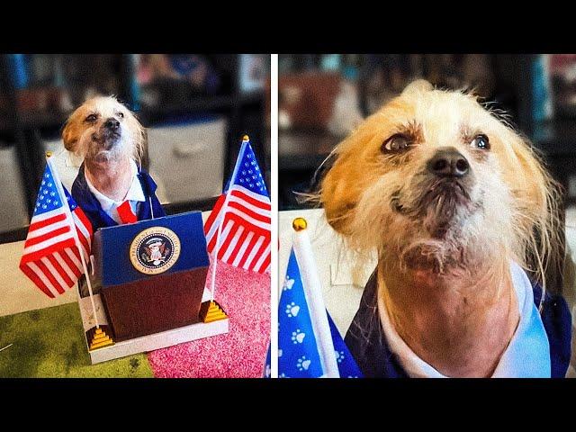 The Cutest President is a Dog 