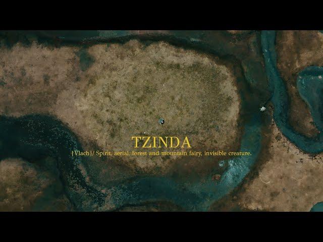 Billie Kark - TZINDA (Full Album)