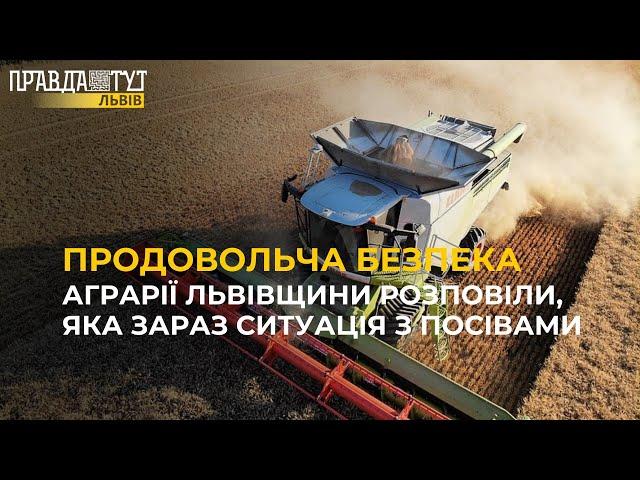 Продовольча безпека: Аграрії Львівщини про ситуацію з посівами