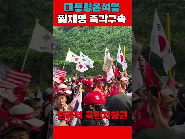 전국적 국민저항권 거리 행진 #이재명 #대통령윤석열 #탄핵무효 #국민저항권 #거리행진 #국민저항행진