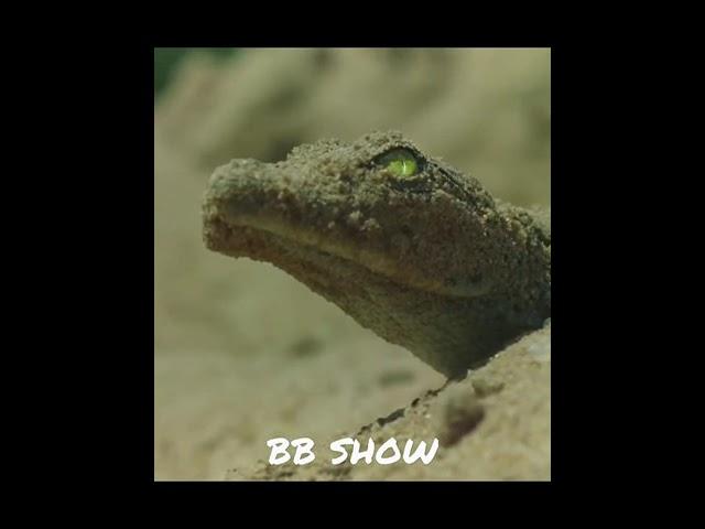 Chronicles Whatsapp Status️Animal Glow Up _Godzilla @godzilla @tiktok_Full-HD #shorts ️