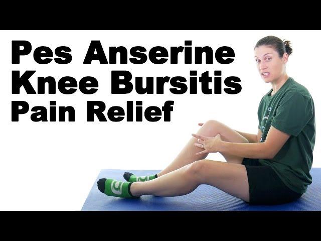 Pes Anserine Knee Bursitis Stretches & Exercises - Ask Doctor Jo