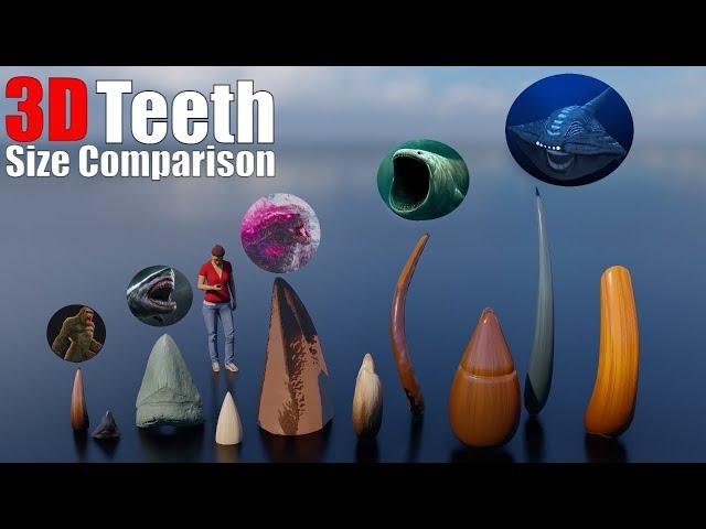 Animal, Dinosaur, and Sea Monster Teeth 3D Size Comparison