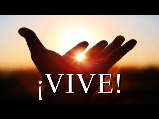 Los Mejores Consejos Para Vivir Feliz ¦ Reflexión, Motivación, Gratittud #felicidad #vida