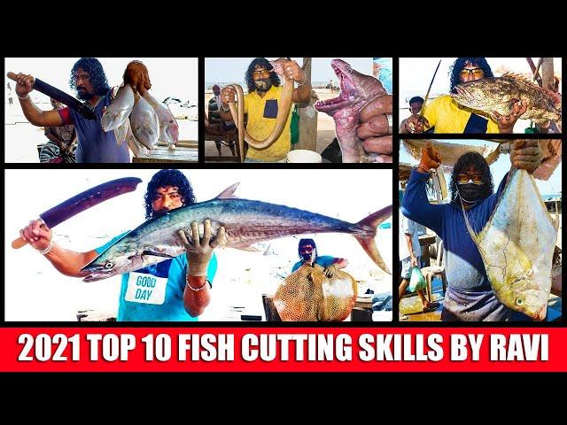 Top 10 Fish Cutting Skills 2021 | Top 10 Most Viewed Fish Cutting Videos By Mr.Ravi