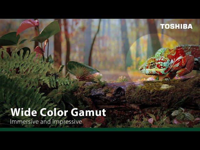 Toshiba TV’s Wide Color Gamut – A Wider Range, A More Real Experience