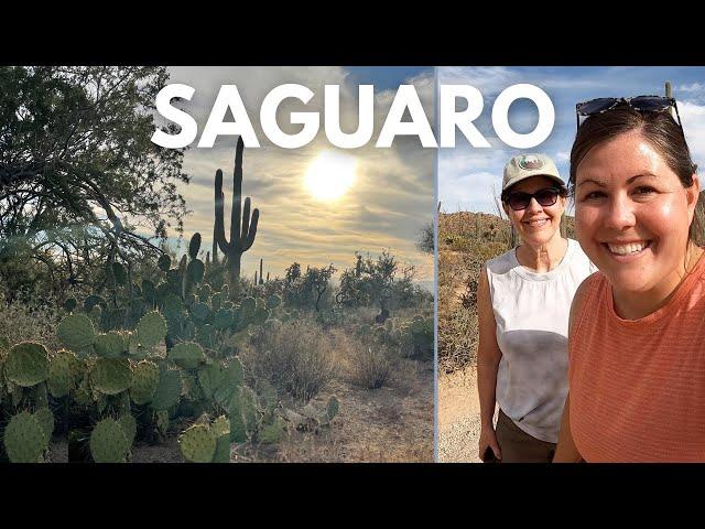 THOUSANDS OF SAGUAROS! SAGUARO NATIONAL PARK in One Day -West Section of Saguaro National Park