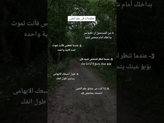 ستوريات توماس شيلبي قصف جبهات/اقوال وحكم/معلومات/علم النفس/كلماتي للعقول الراقية #shorts #اكسبلور
