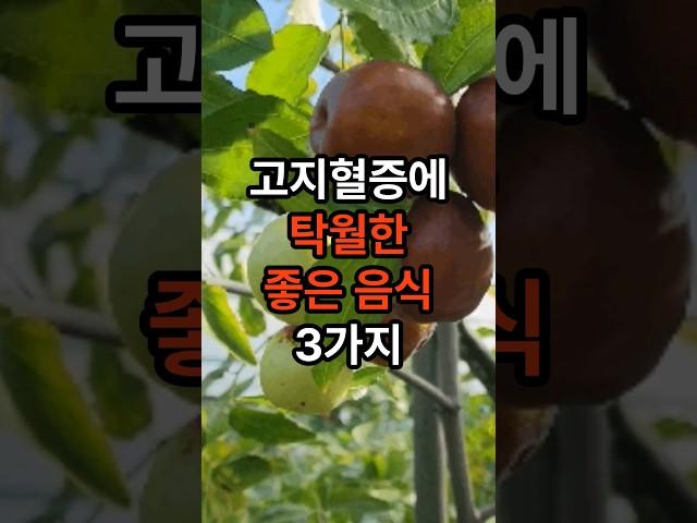 혈관을 조여오는 고지혈증을 놔두면 안됩니다.고지혈증에 좋은 음식들~ #고지혈증 #건강 #음식 #혈관 #shorts