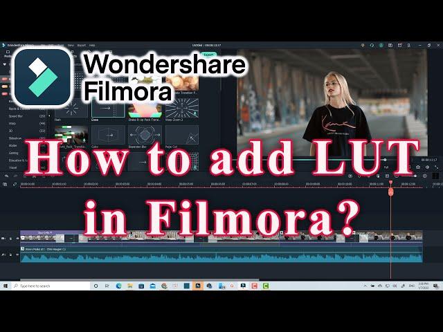 How to Color Grading Video with LUT in Wondershare Filmora