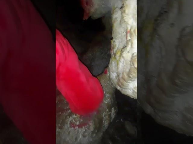 my first vlog(hetauda to 24 km north budichaur gufama ghumdai(yubraj2025)