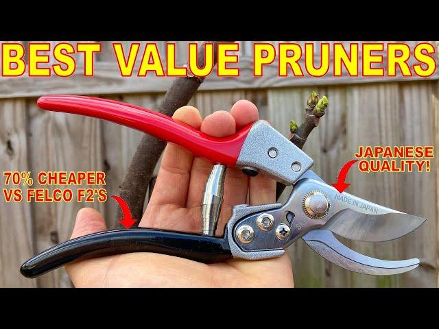 I Found The PERFECT PRUNING SHEARS! Japanese Pruners At An UNREAL Price!