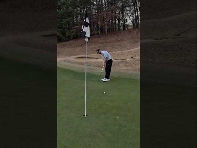 Birdie #88 of 2024 - 2 ball scramble was a blast! #birdie #labputter #golfshort #golfvideo