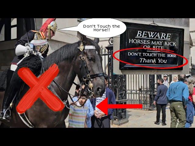 "READ THE SIGN"!  Fed Up Kings Guard Told Off Tourists"! DONT TOUCH THE HORSE