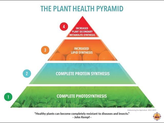 Plant Health Pyramid