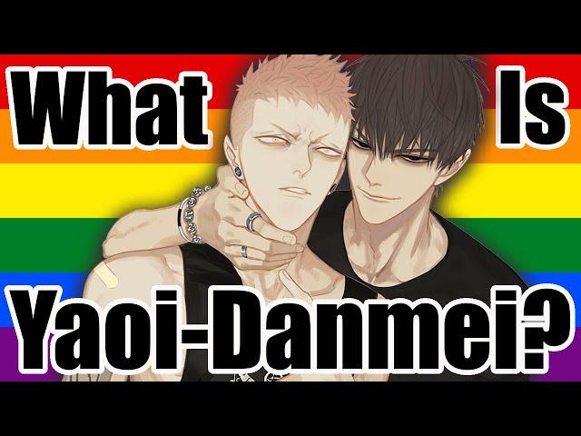 BL Anime Fans Have Lost The Narrative (AGAIN) | Explaining & Exploring "Yaoi-Danmei"