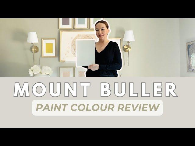 Paint Color Review | Dulux Mount Buller