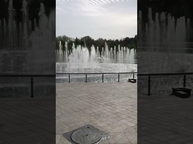 Современная поэзия. Лана Планова "Эффект контраста" (читать в описании видеопостера)