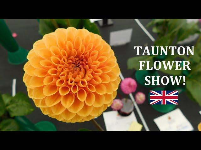 Taunton Flower Show! #TAUNTON