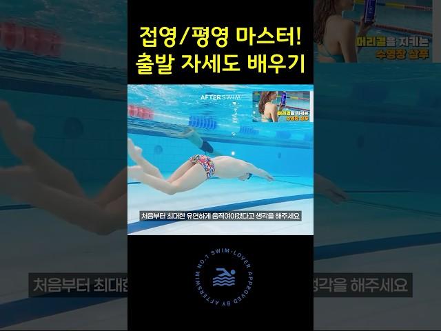 접영과 평영 마스터! 출발 자세도 배우기! #수영배우기 #접영 #평영