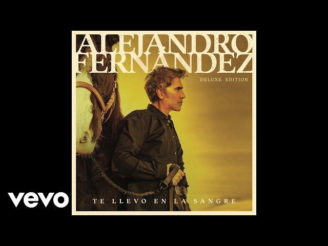 Alejandro Fernández, Anitta - La Tóxica (Pseudo Video)