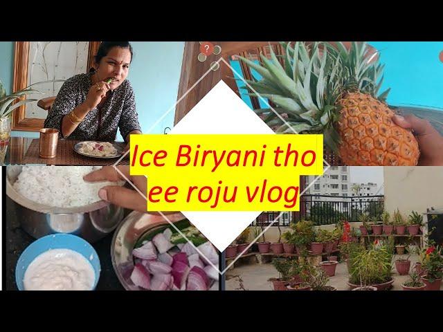 summer  Biryani tho ee roju Vlog start