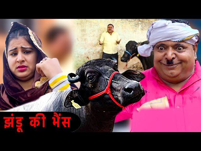 झंडू की भैंस - Comedy Video | Vanshika Sharma | Mahender Singh Jhandu | Comedy Video