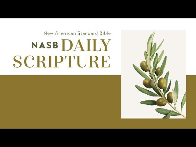 NASB Daily Scripture from Zondervan Bibles