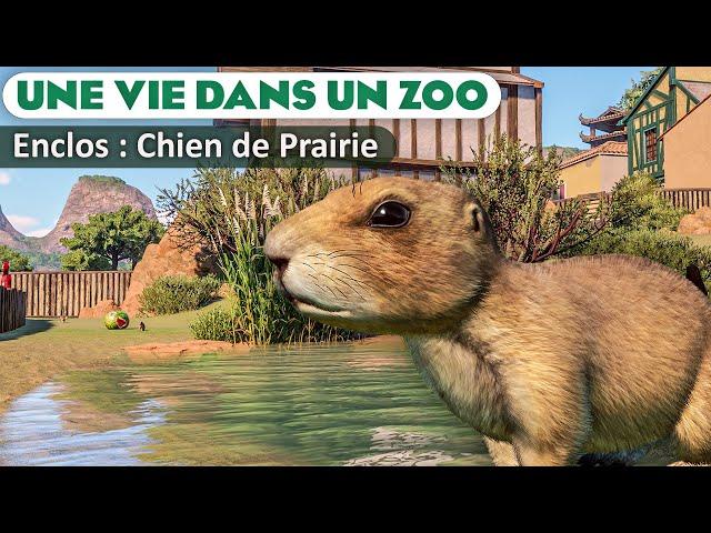 Habitat des Chiens de Prairie à queue noire | ÉPISODE 103 | PLANET ZOO | Franchise