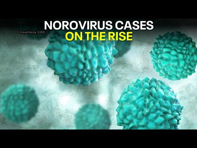 Norovirus on the rise in Austin, doctor says