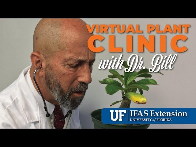 The Virtual Plant Clinic With Dr. Bill December 19, 2024