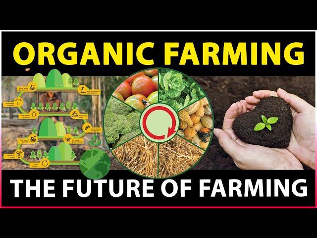 Importance of Organic Farming | What is Organic Farming | Sustainable Agriculture