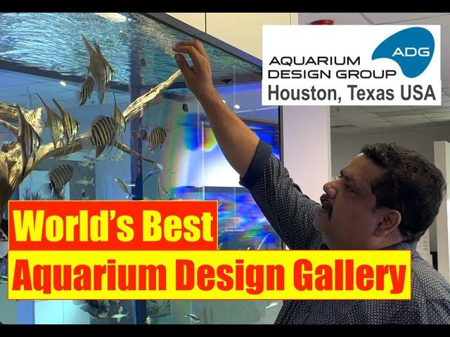 Aquarium Design Group | Houston, Texas | Aquarium Design Gallery | Mayur Dev Aquascaper  4K