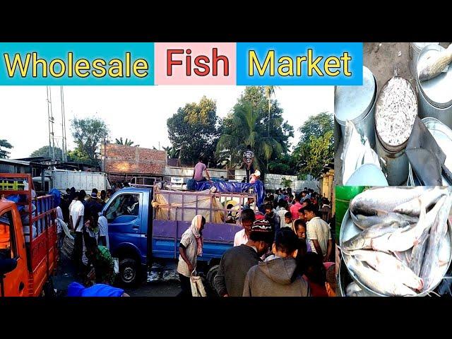 Wholesale Fish Market || मसली की मंडी ||थोक बाज़ार