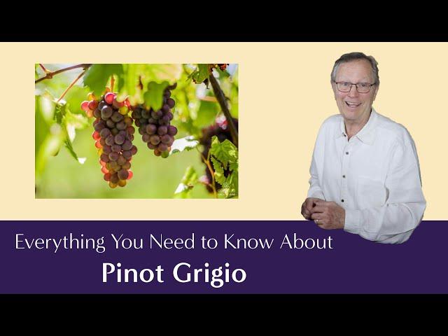 Pinot Grigio: Everything You Need to Know - Including Suggested Food Pairings