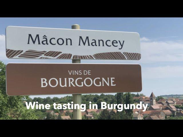 Wine Tasting in Burgundy