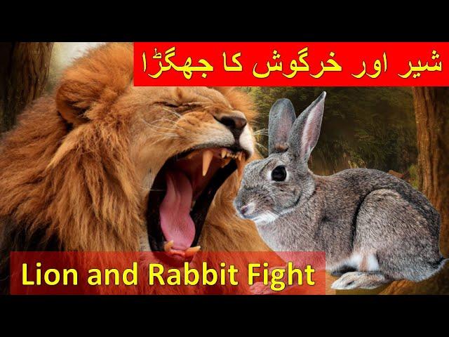 The Lion and Rabbit | 3D Animated Hindi Stories for Kids | Fairy tales in Urdu | ENGLISH SUBITLES