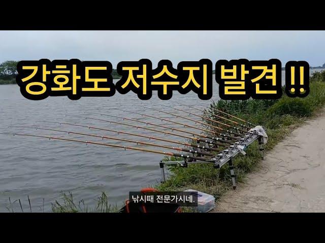 서울촌부부 강화도 낚시터 발견!! 무료인가? 뒤편에 전문가 낚시대 신기해 #강화도낚시터 #시골초보 #시골여행 #강화여행 #자연과함께 #자연 #민물낚시 #저수지 #강화도저수지