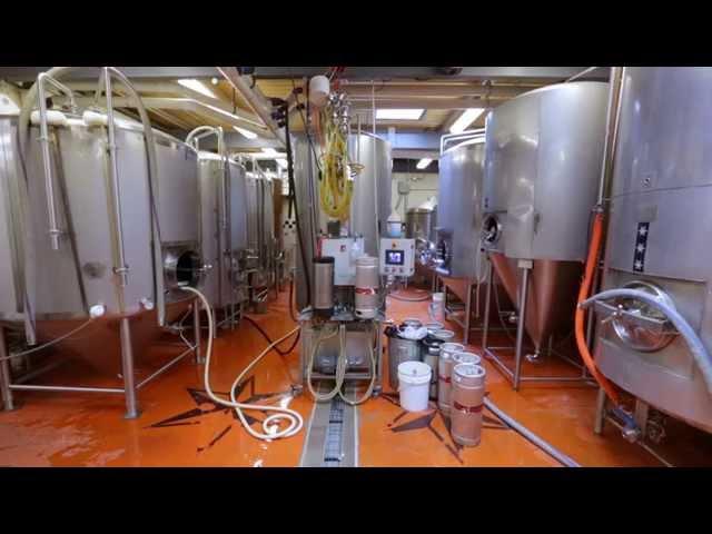 Let Sixpoint's Mad Scientists Show You How to Invent a Brand New Beer