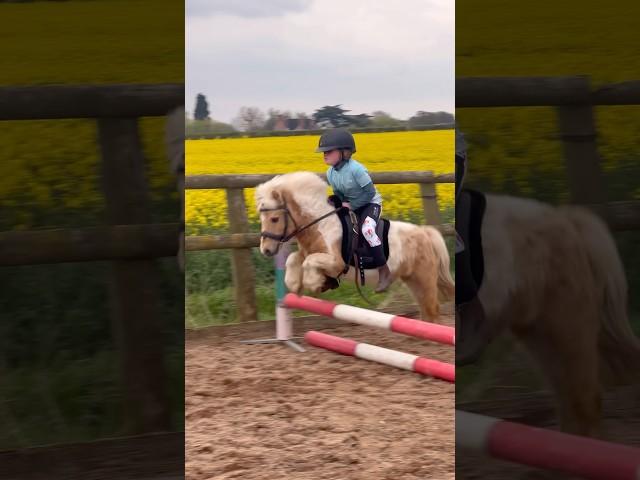 The littlest pony jumping ever! #horse #showjumping #horselover #pony #horseriding #equestrian