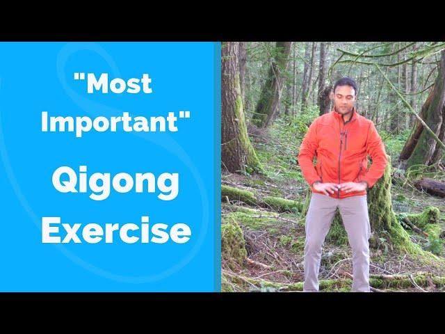 "Most Important" Qigong Exercise for Beginners