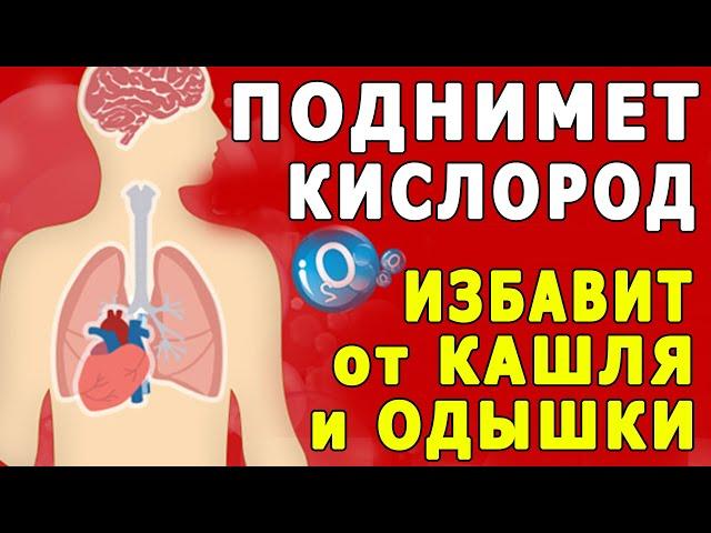 Повысит Кислород, Избавит от Кашля, Одышки, Облегчит Дыхание - Простая Гимнастика для Лёгких 