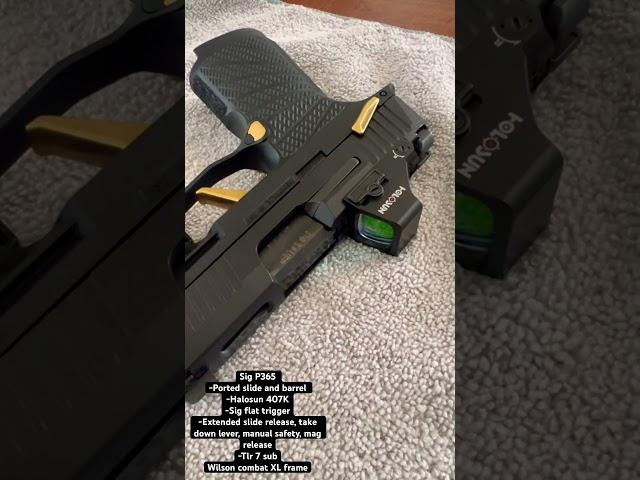 SIG P365 MODIFIED