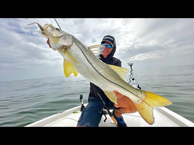 PESCANDO ROBALOS GIGANTES COM UM RISCO FATAL