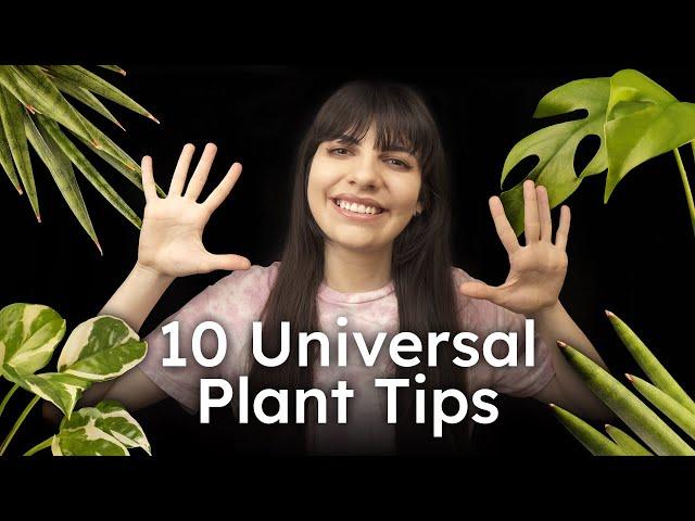 10 Universal Plant Tips that Will Work on Any Houseplant