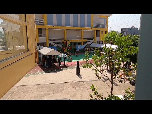 Cây phát nhạc
